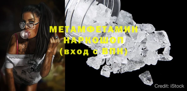прущие грибы Беломорск