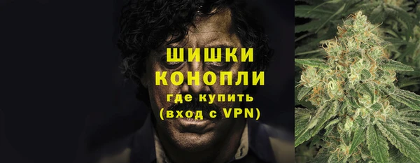 прущие грибы Беломорск