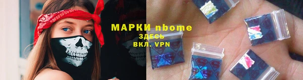 прущие грибы Беломорск