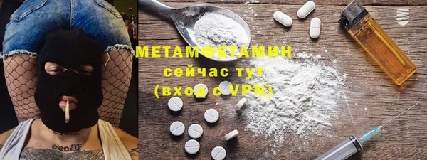 прущие грибы Беломорск