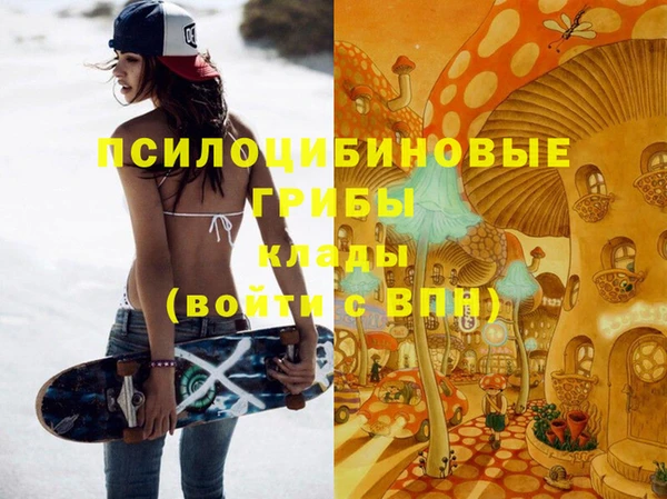 кокаин Белокуриха