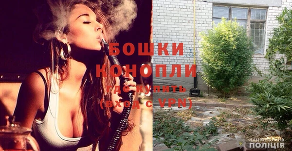 прущие грибы Беломорск
